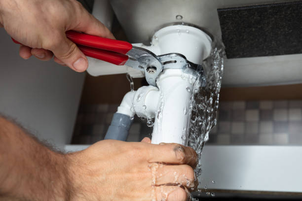 Best Flood restoration services  in Dowagiac, MI
