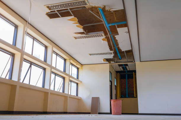 Best Flood restoration services  in Dowagiac, MI