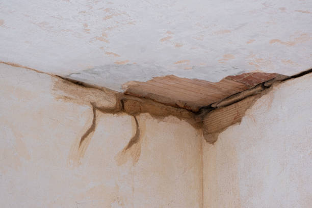 Best Flood damage cleanup  in Dowagiac, MI