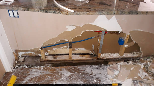 Best Water damage restoration services  in Dowagiac, MI