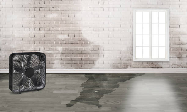 Best Commercial water damage restoration  in Dowagiac, MI