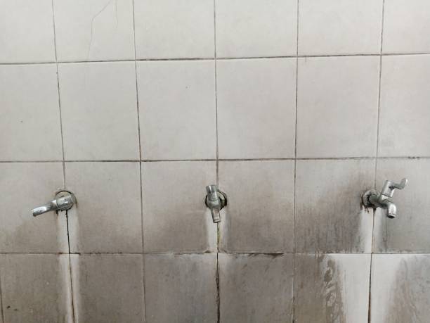 Best Commercial water damage restoration  in Dowagiac, MI