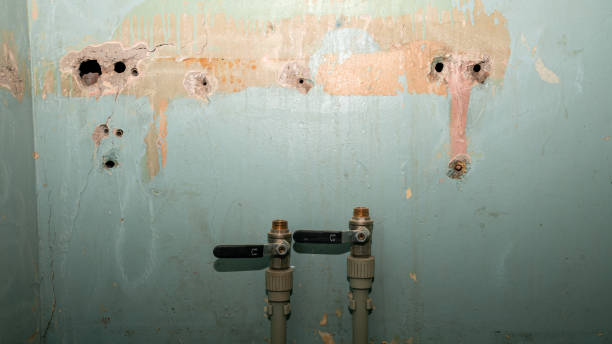 Water damage restoration mold remediation in Dowagiac, MI