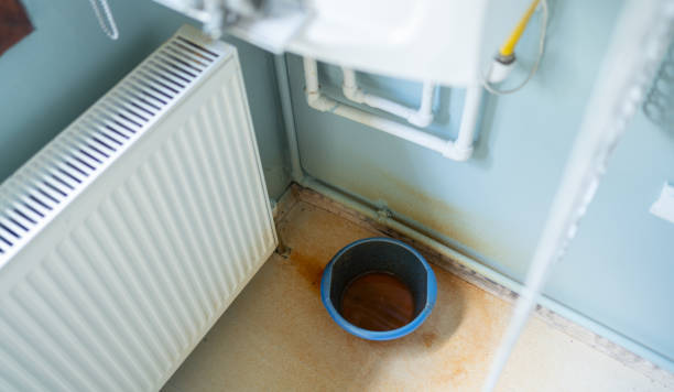 Best Water damage repair service  in Dowagiac, MI
