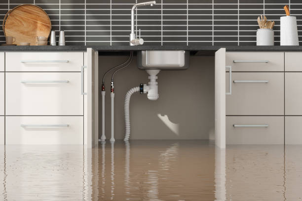 Best Ceiling water damage repair  in Dowagiac, MI