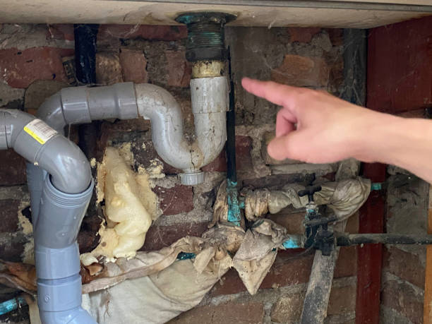 Best Water damage cleanup near me  in Dowagiac, MI